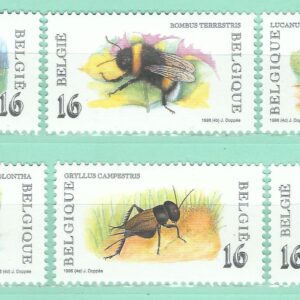 COB 2630/2635 MNH
