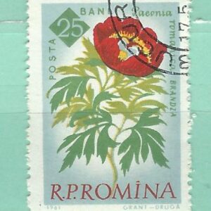 Roumanie Y&T 1820 used