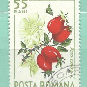 Roumanie Y&T 2087 used